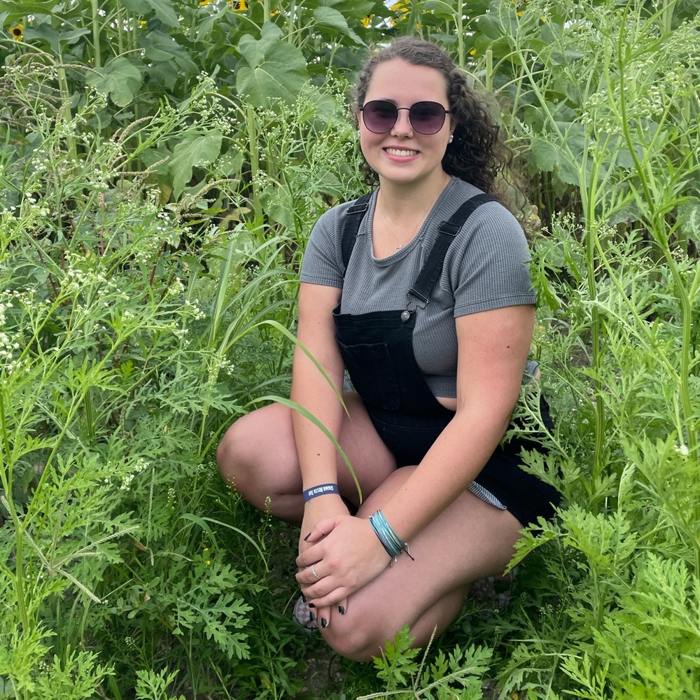 Meet your Posher, Sierra